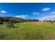 518 Mount Back Road, Tarrengower VIC 3463