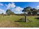 518 Mount Back Road, Tarrengower VIC 3463