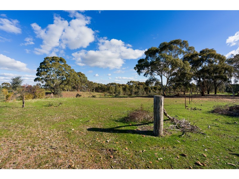 518 Mount Back Road, Tarrengower VIC 3463
