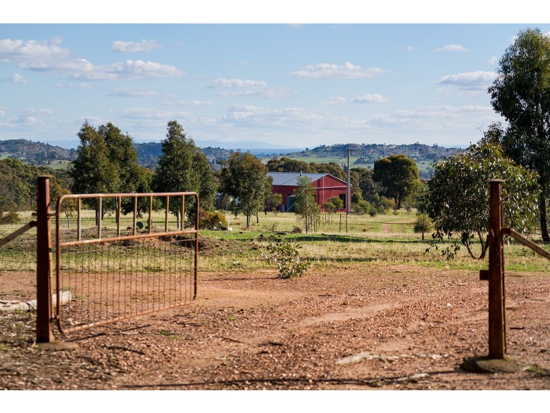 518 Mount Back Road, Tarrengower VIC 3463