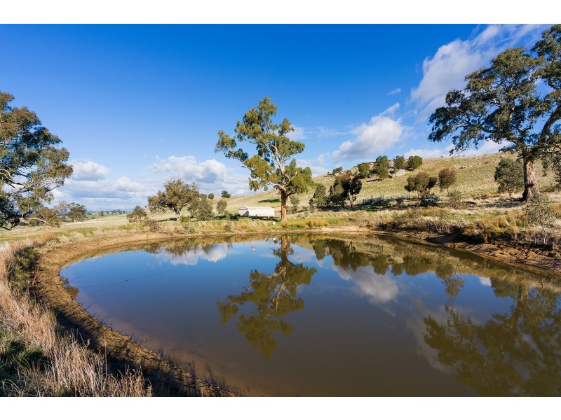 269 Wilkinsons Rd, Sedgwick VIC 3551