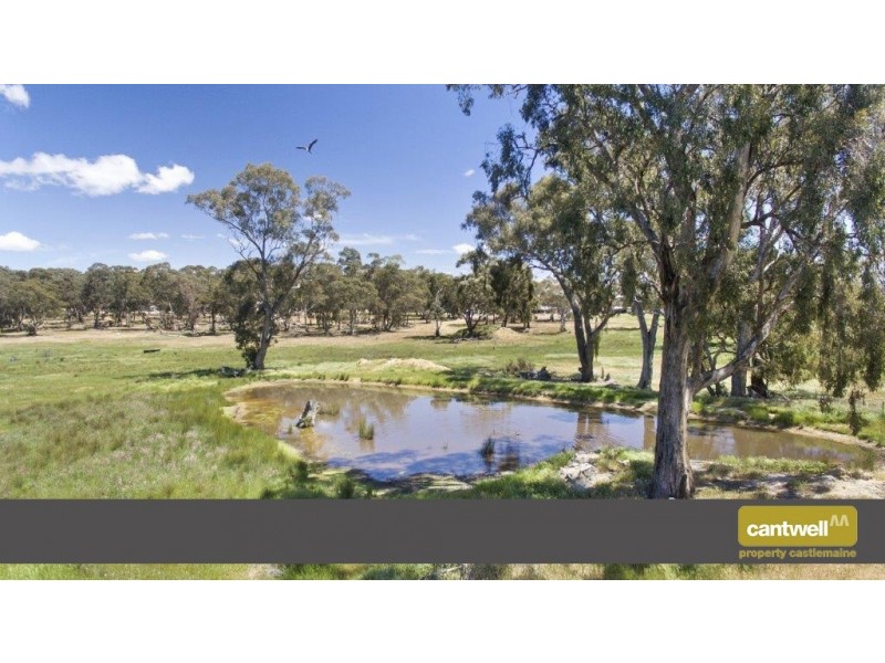 Cnr Claypit Road and Strangways School Road, Strangways VIC 3461