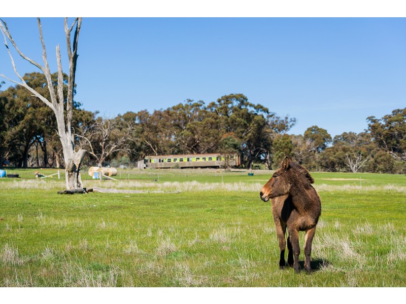 128 Centre Road, Walmer VIC 3463