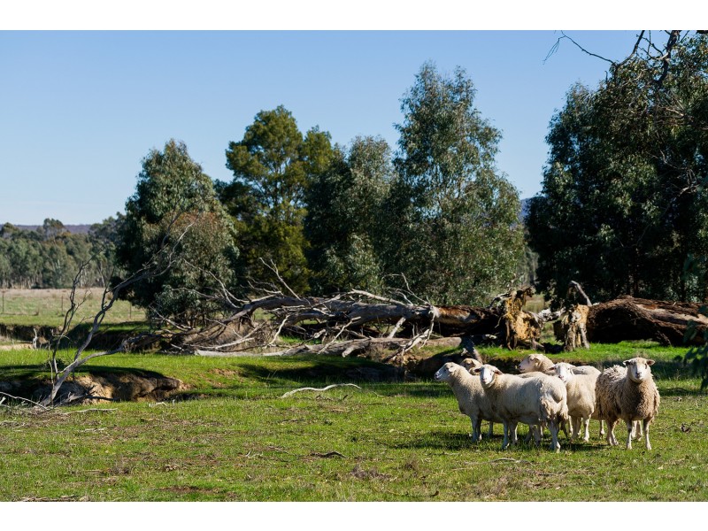 128 Centre Road, Walmer VIC 3463