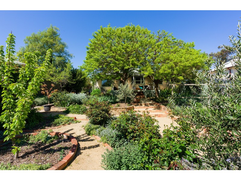 41 Campbell St, Castlemaine VIC 3450