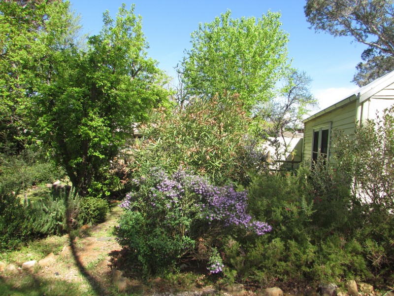 38 Parker Street, Castlemaine VIC 3450