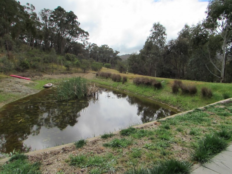 Chewton Bushlands VIC 3451