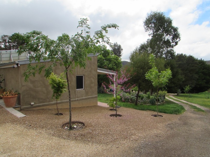 Chewton Bushlands VIC 3451