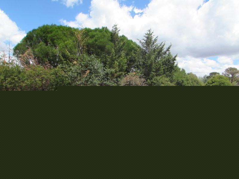 24 Neates Road, Campbells Creek VIC 3451