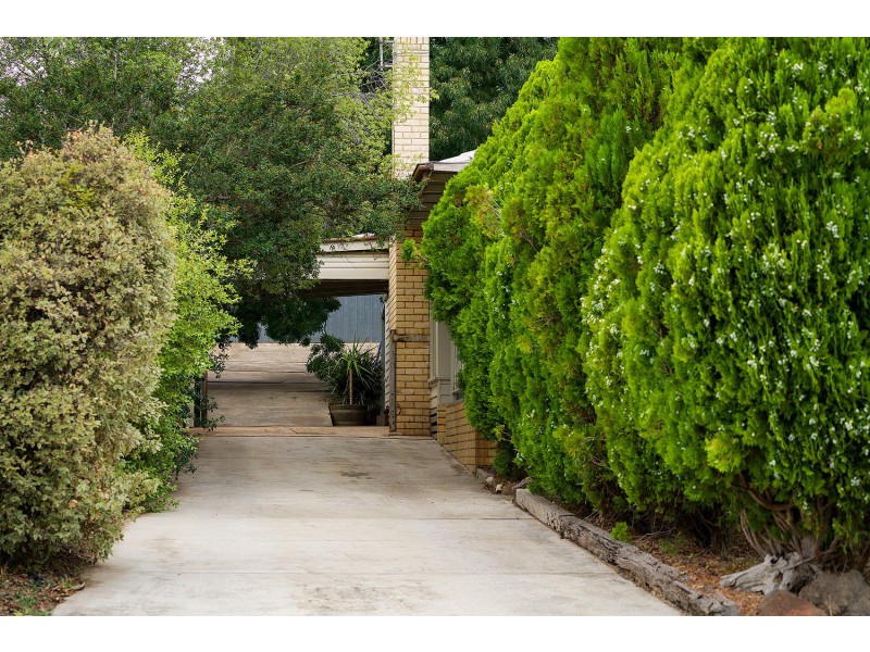38 Richards Road, Castlemaine VIC 3450