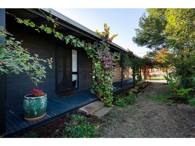 17 Fryers Road, Campbells Creek VIC 3451