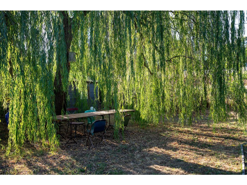 17 Fryers Road, Campbells Creek VIC 3451