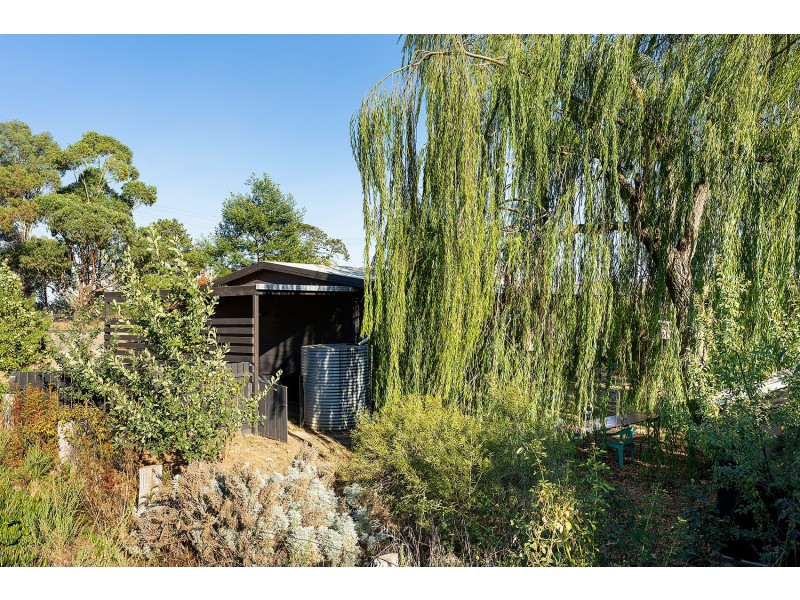 17 Fryers Road, Campbells Creek VIC 3451