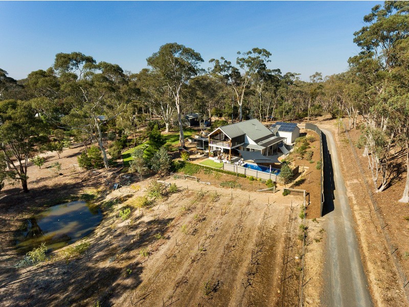 13 Merrifield St, Castlemaine VIC 3450
