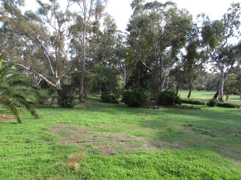 38 Lyons Street, Newstead VIC 3462