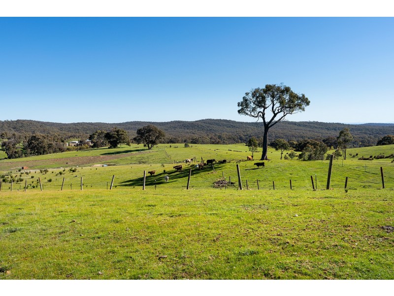 180 Pyrenees Highway, Elphinstone VIC 3448