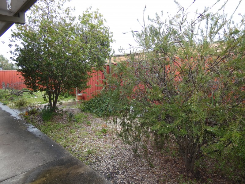 1/41 Wheeler Street, Castlemaine VIC 3450