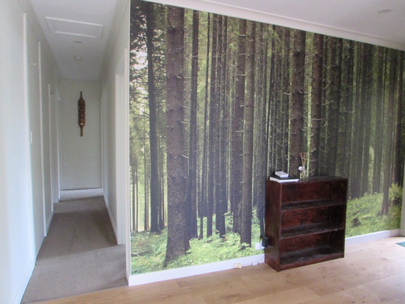 53 Johnstone Street, Castlemaine VIC 3450