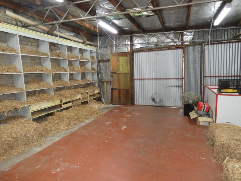 172 Barker Street, Castlemaine VIC 3450