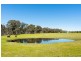 255 Pollards Road, Elphinstone VIC 3448