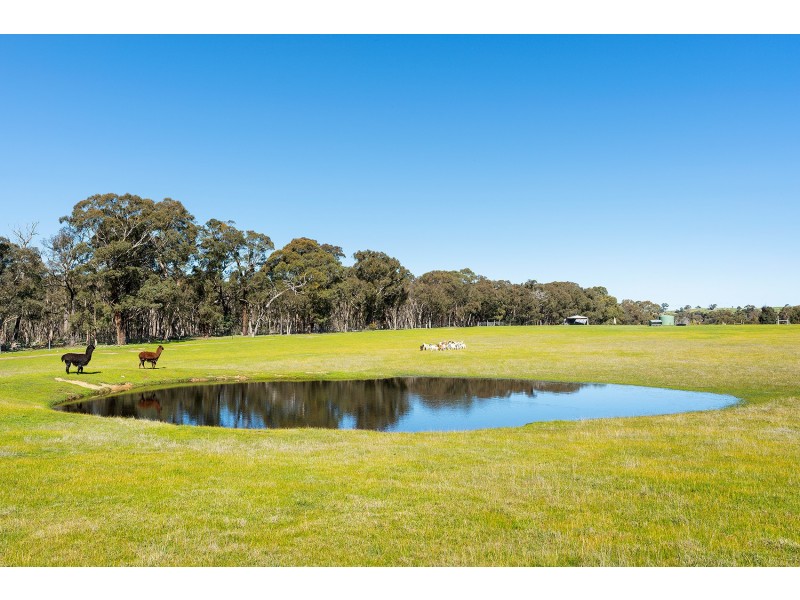 255 Pollards Road, Elphinstone VIC 3448