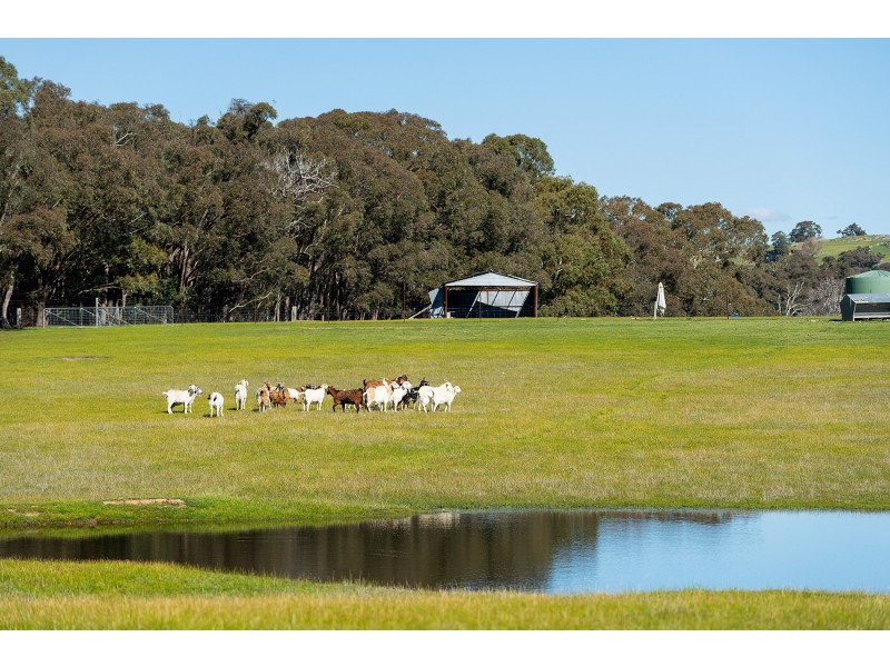 255 Pollards Road, Elphinstone VIC 3448