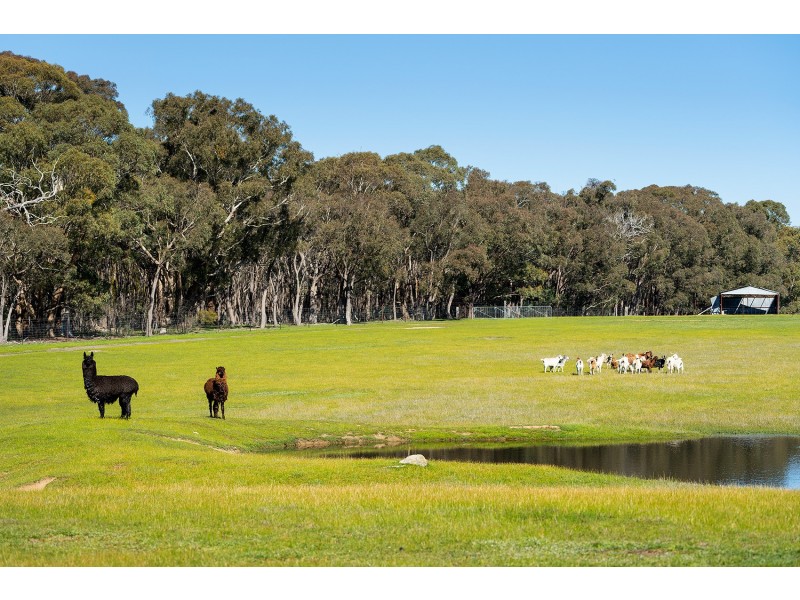 255 Pollards Road, Elphinstone VIC 3448