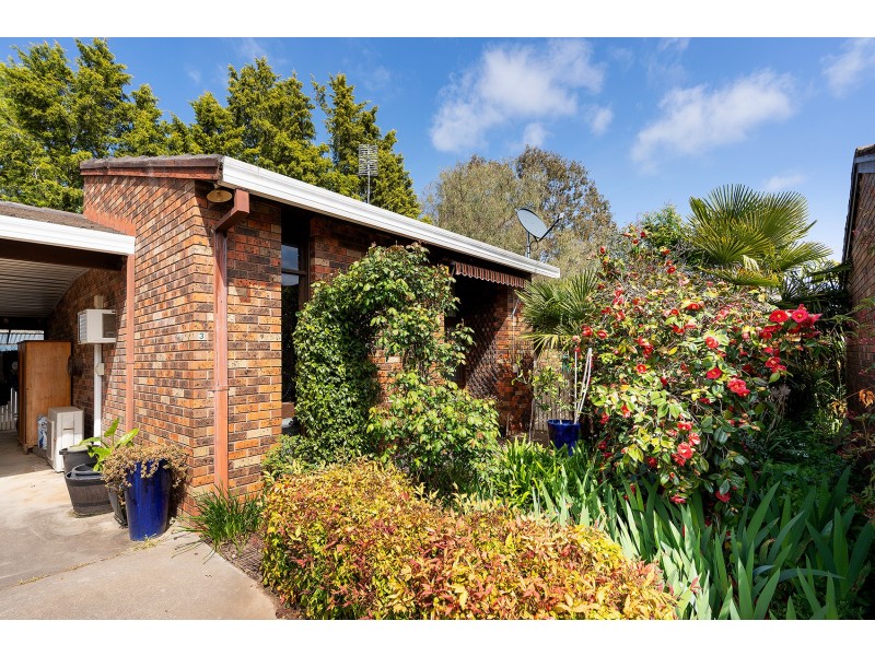 3/8 Halford Street, Castlemaine VIC 3450