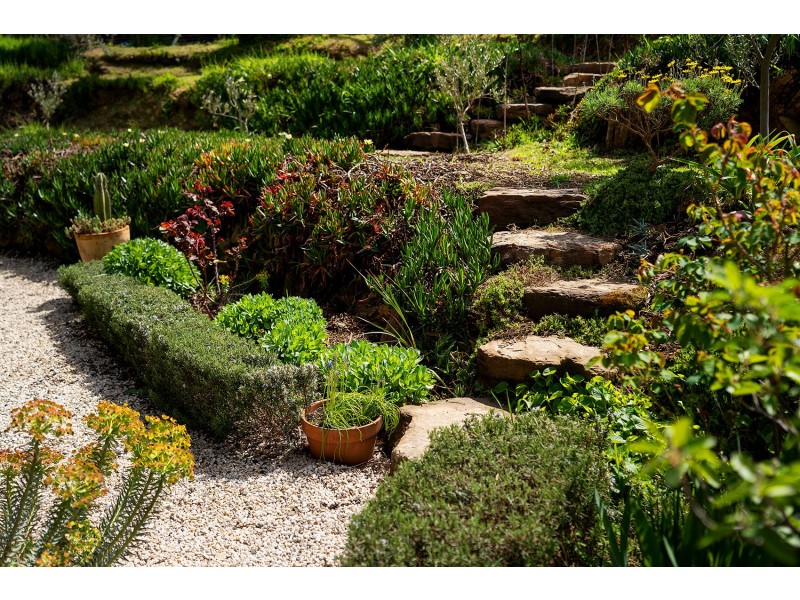 38 Princess Street, Campbells Creek VIC 3451