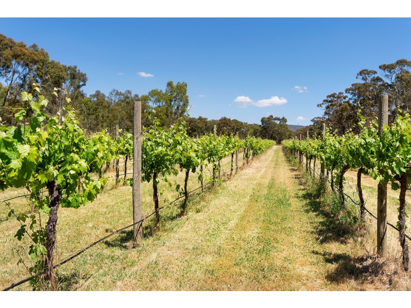 280 Maldon-Shelbourne Road, Maldon VIC 3463