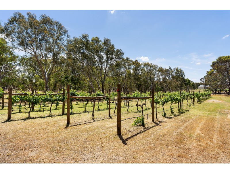 280 Maldon-Shelbourne Road, Maldon VIC 3463