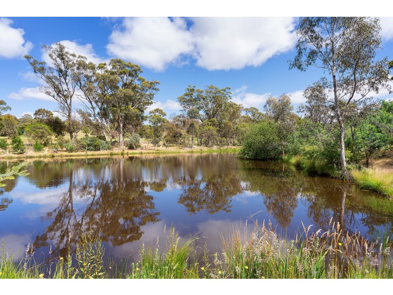 31 Carrs Road, Barkers Creek VIC 3451