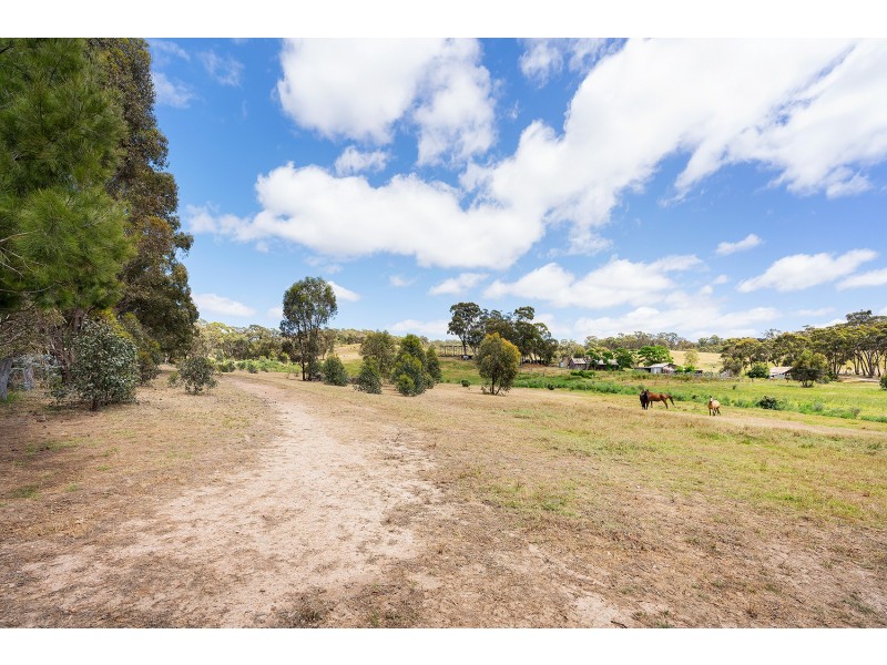 31 Carrs Road, Barkers Creek VIC 3451