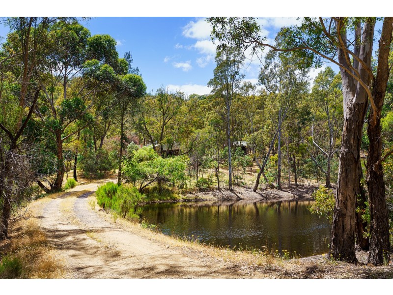 219 Goldspeck Gully Road, Chewton VIC 3451