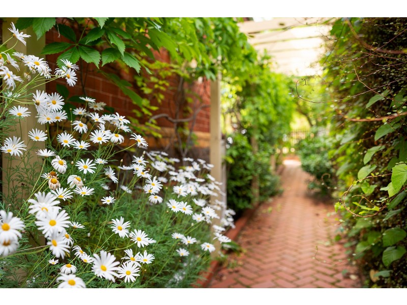 49 Campbell Street, Castlemaine VIC 3450