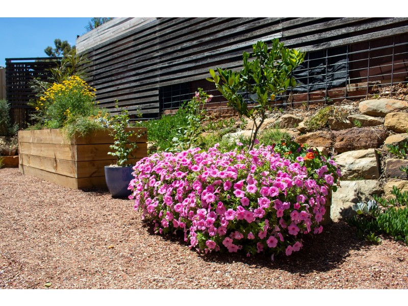 20 Montgomery Street, Castlemaine VIC 3450