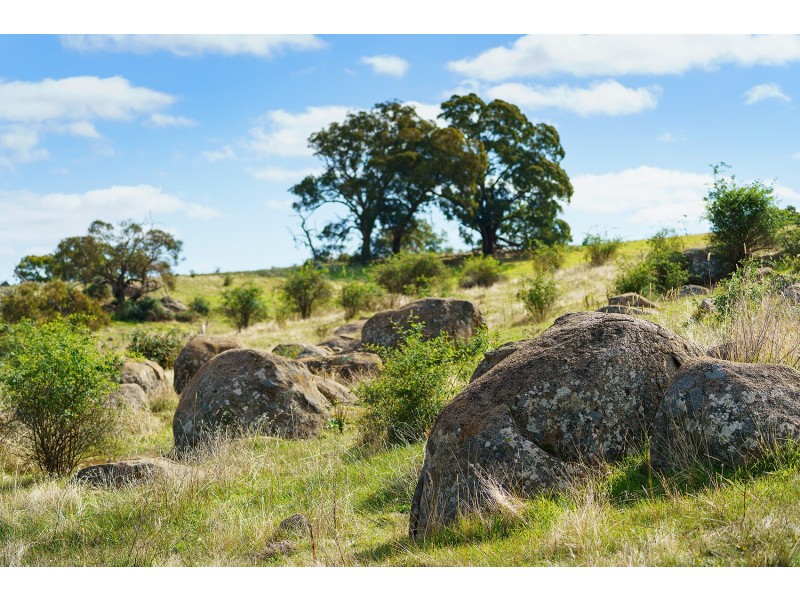 296 Ford Road, Harcourt North VIC 3453