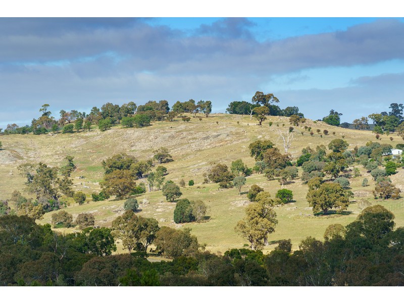 296 Ford Road, Harcourt North VIC 3453