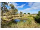 296 Ford Road, Harcourt North VIC 3453