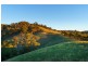1/223 Nuggetty Road, Maldon VIC 3463