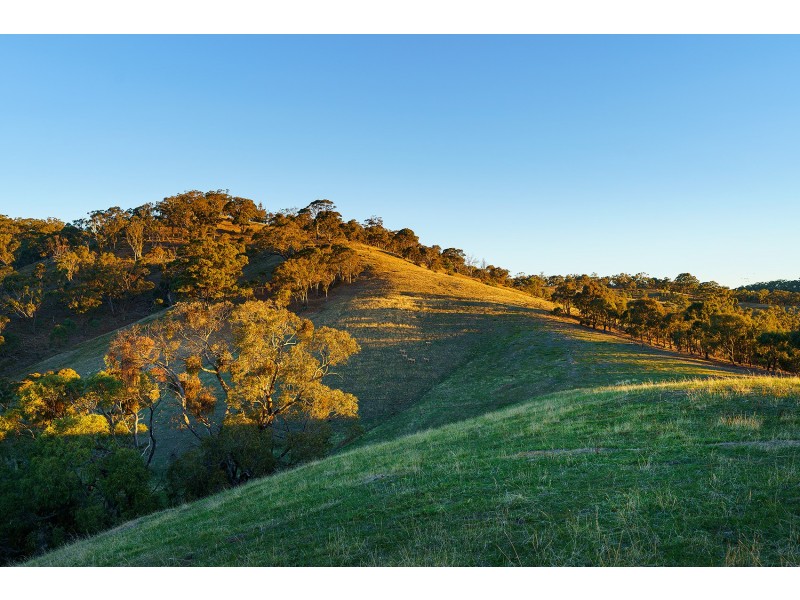 1/223 Nuggetty Road, Maldon VIC 3463