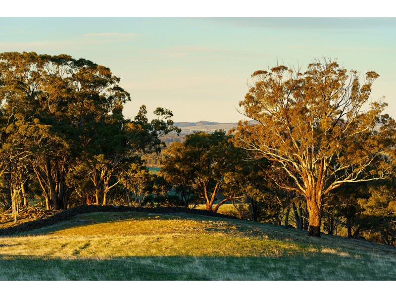 1/223 Nuggetty Road, Maldon VIC 3463