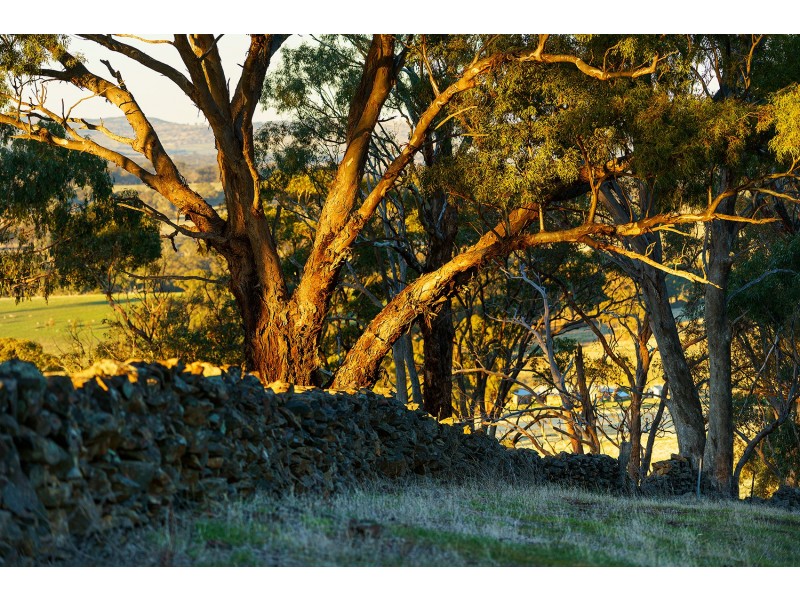 1/223 Nuggetty Road, Maldon VIC 3463