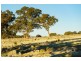 1/223 Nuggetty Road, Maldon VIC 3463