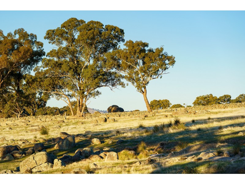 1/223 Nuggetty Road, Maldon VIC 3463