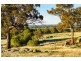 1/223 Nuggetty Road, Maldon VIC 3463