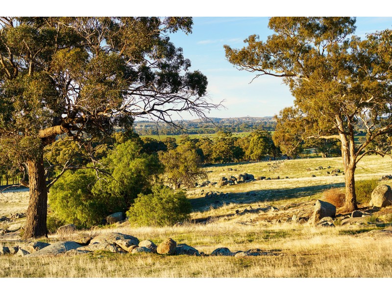 1/223 Nuggetty Road, Maldon VIC 3463