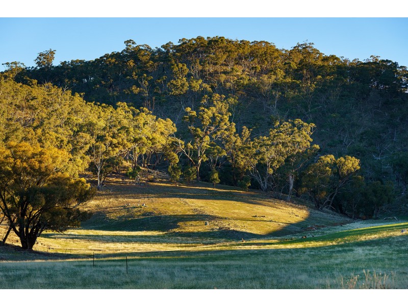 1/223 Nuggetty Road, Maldon VIC 3463