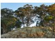 1/223 Nuggetty Road, Maldon VIC 3463