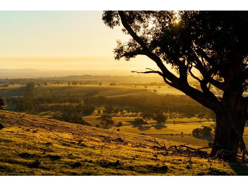 1/223 Nuggetty Road, Maldon VIC 3463